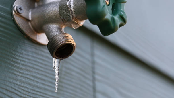 Best Leak Detection Services  in Redington Beach, FL